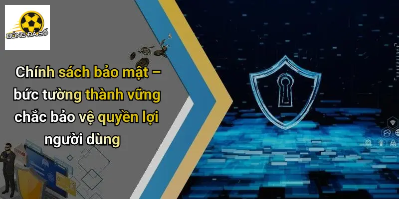 Chính sách bảo mật – bức tường thành vững chắc bảo vệ quyền lợi người dùng