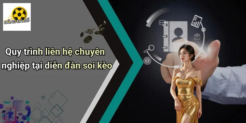 Quy trình liên hệ chuyên nghiệp tại diễn đàn soi kèo
