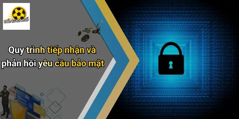 Quy trình tiếp nhận và phản hồi yêu cầu bảo mật