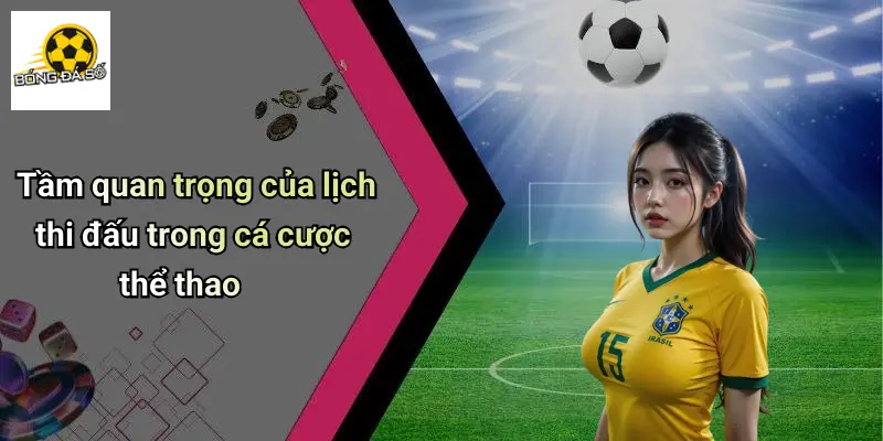 Tầm quan trọng của lịch thi đấu trong cá cược thể thao