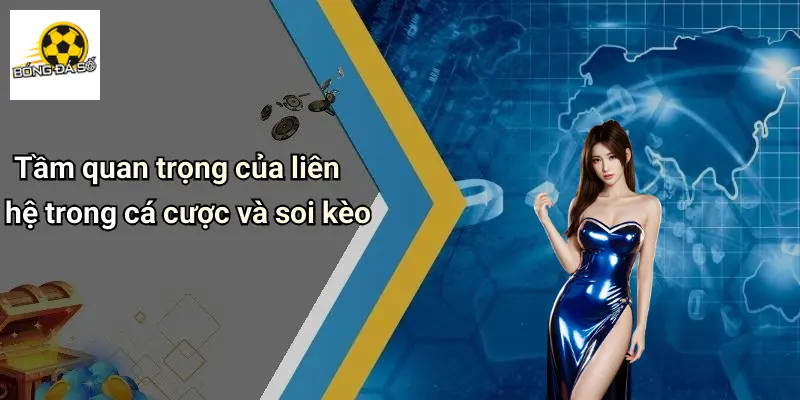 Tầm quan trọng của liên hệ trong cá cược và soi kèo