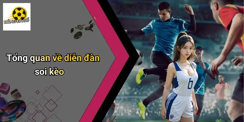 Tổng quan về diễn đàn soi kèo