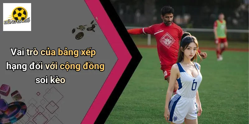 Vai trò của bảng xếp hạng đối với cộng đồng soi kèo