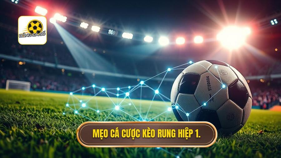 Tổng hợp mẹo cá cược kèo rung hiệp 1 hiệu quả nhất