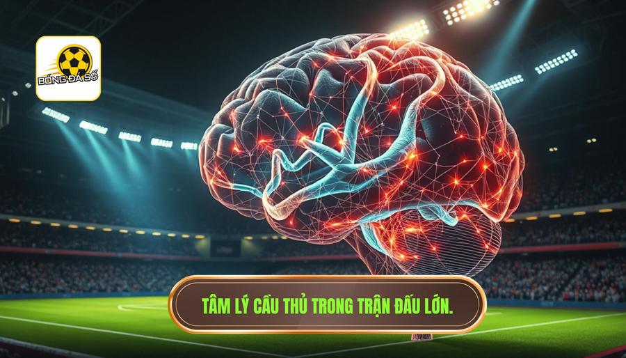 Phân tích đa chiều: Tâm lý học trong trận cầu lớn